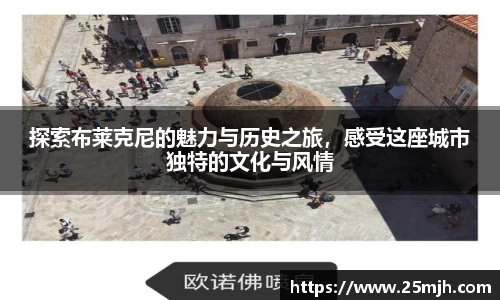 探索布莱克尼的魅力与历史之旅，感受这座城市独特的文化与风情